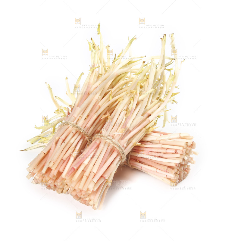 白底上的鱼腥草嫩芽