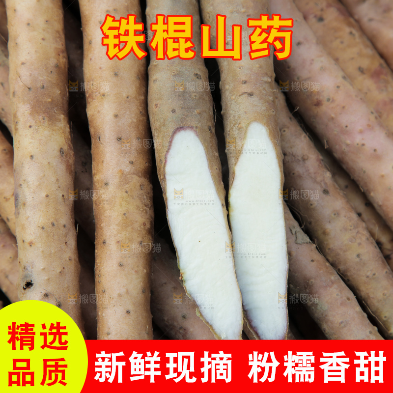 一堆新鲜铁棍山药