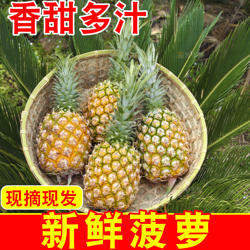 一篮新鲜菠萝