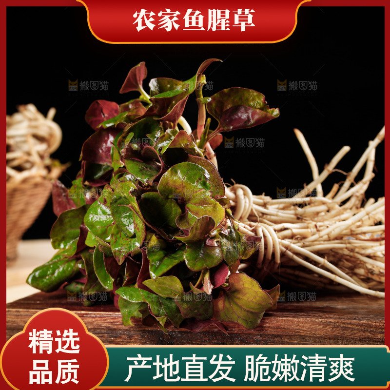 木底上放着新鲜折耳根