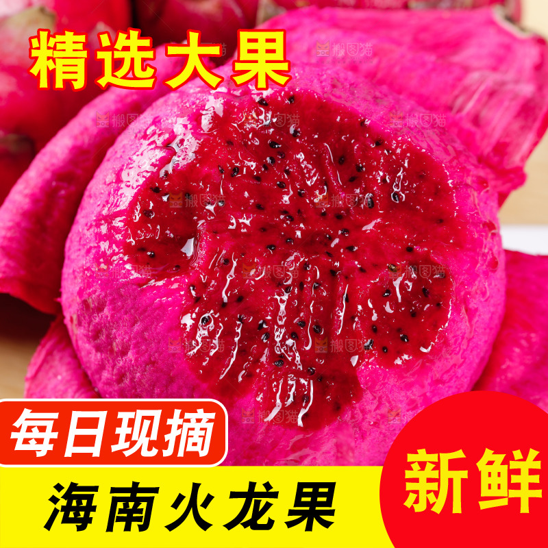 新鲜的金都一号红心火龙果