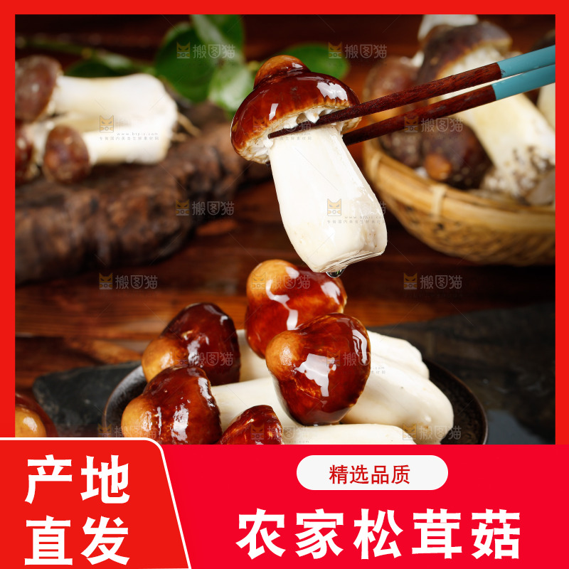 筷子上夹着松茸