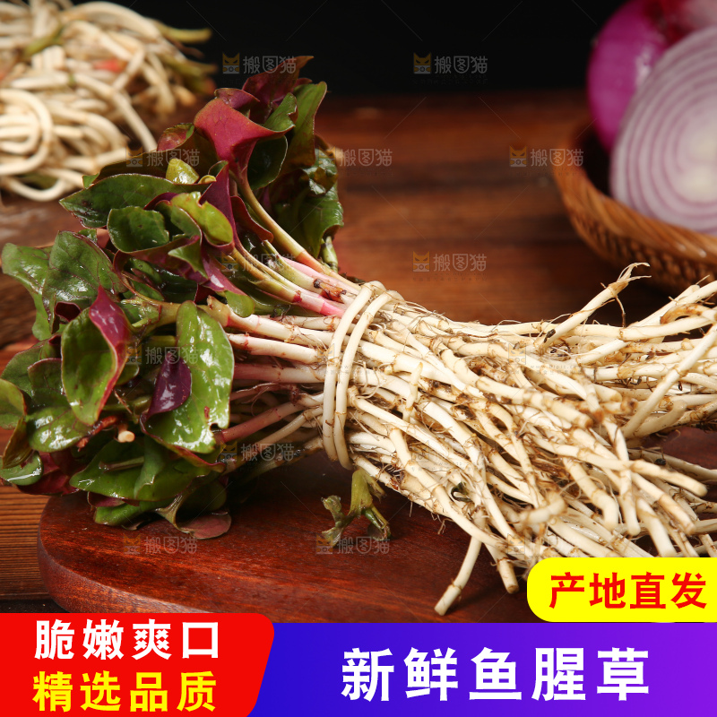 木底上放着折耳根