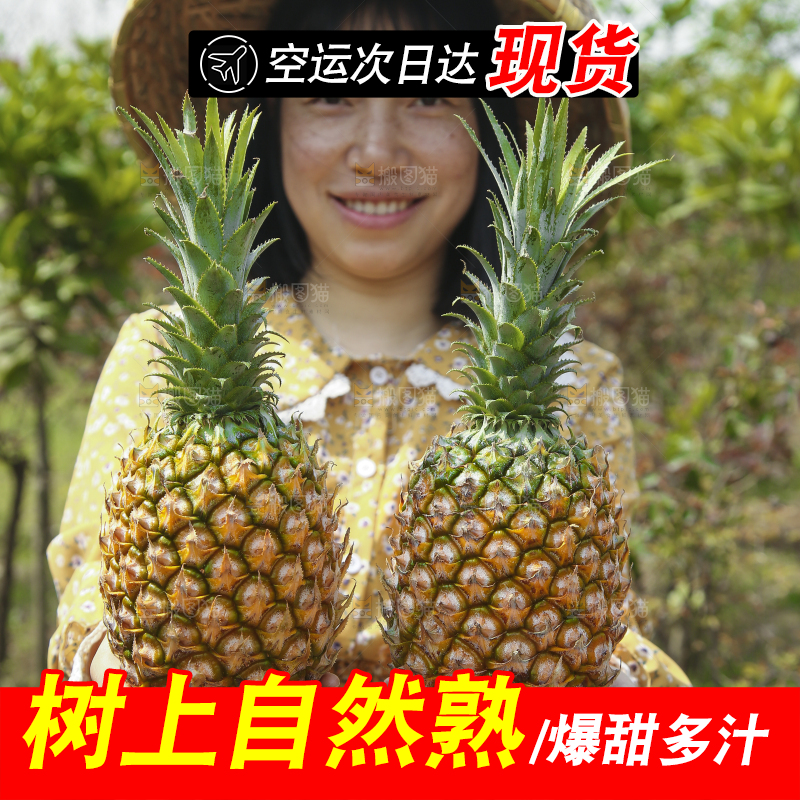 手里拿着菠萝