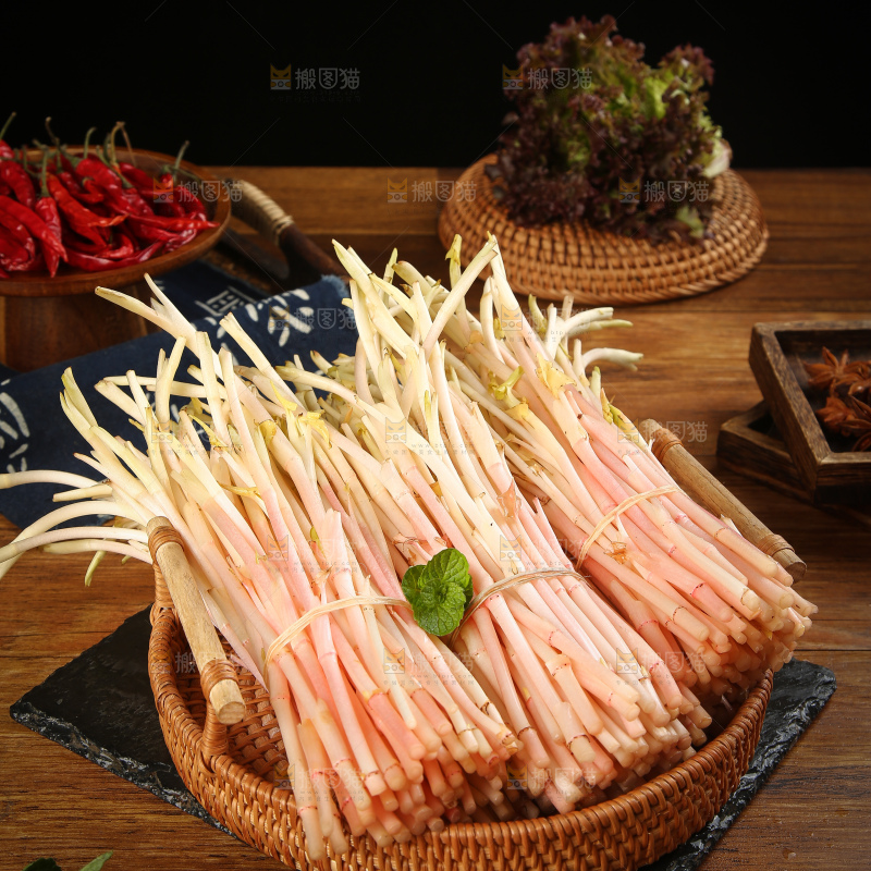 一篮折耳根嫩芽