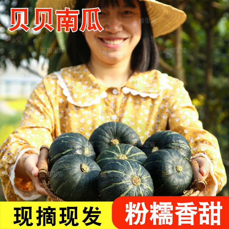 手里端着一篮贝贝南瓜