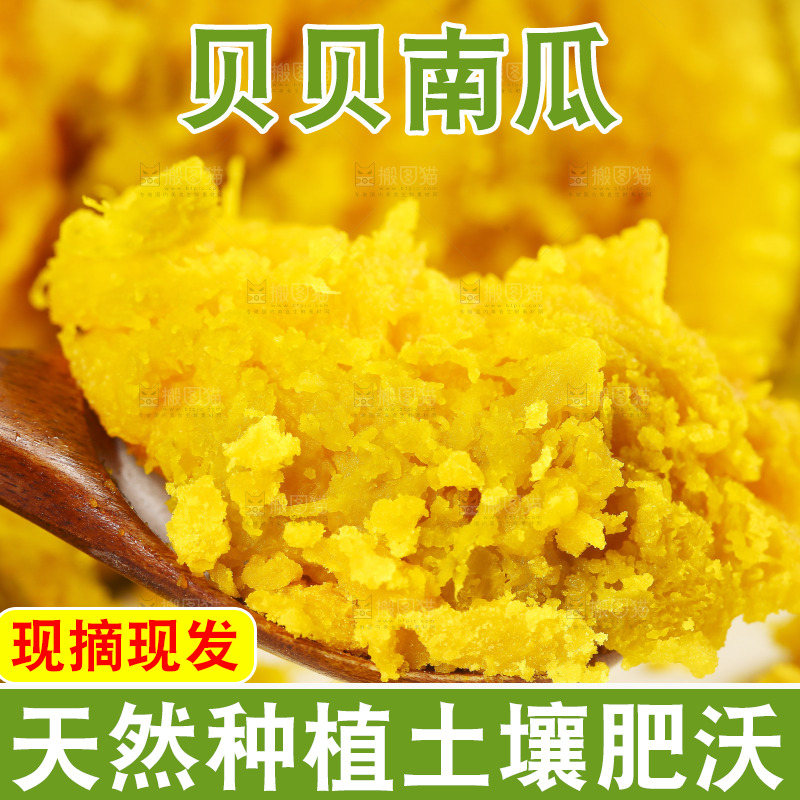 勺子上舀着贝贝南瓜