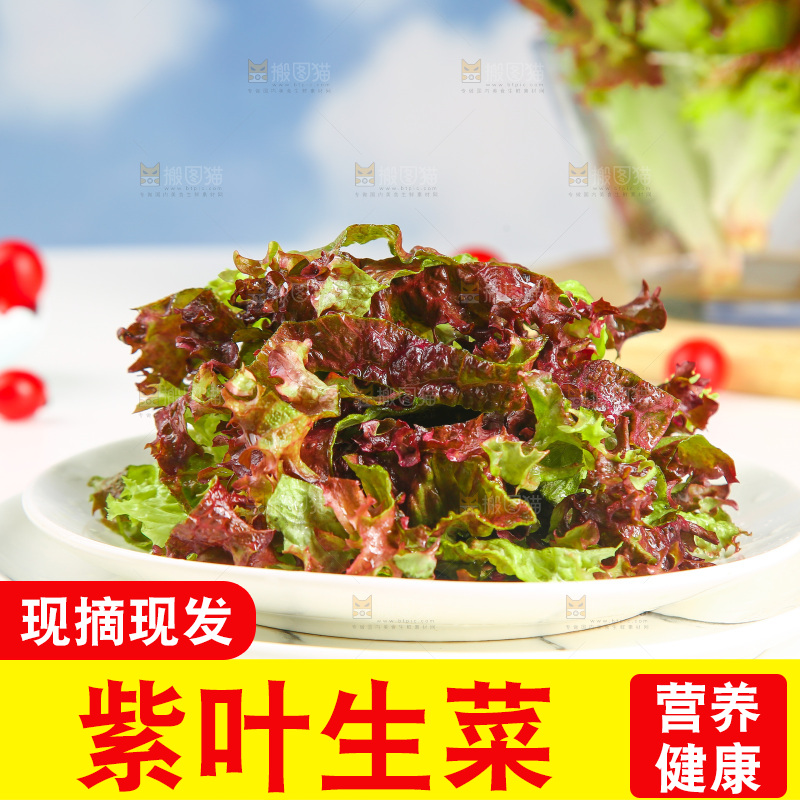 一盘红叶生菜