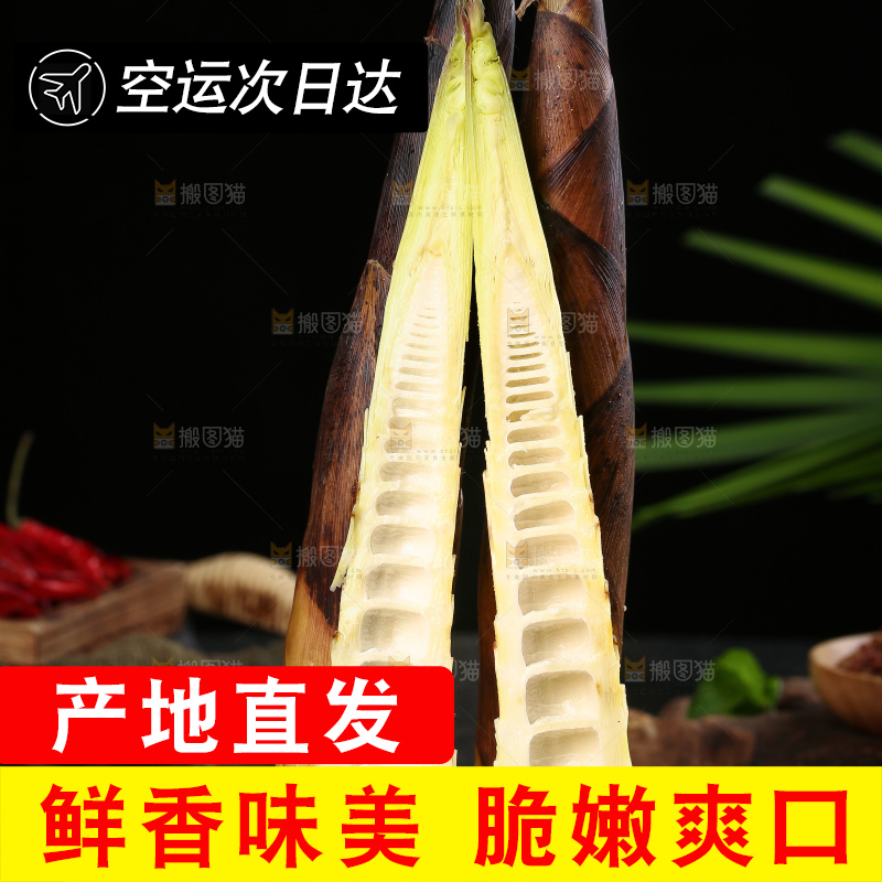 木底上的雷竹笋