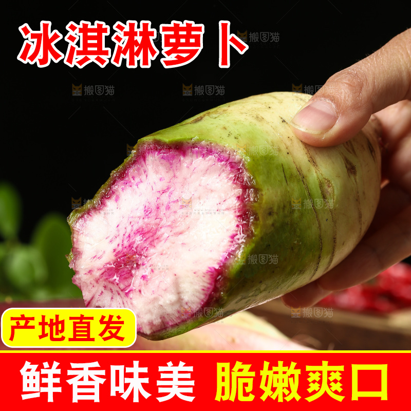 手里拿着冰糖心萝卜