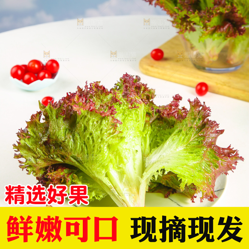 一盘红叶生菜