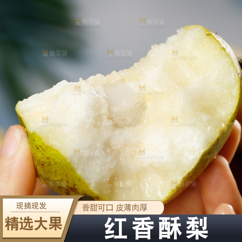 手里拿着红酥梨