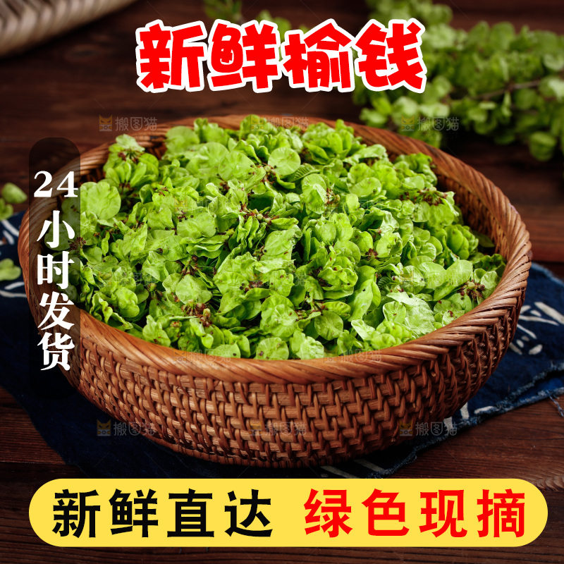 一篮新鲜榆钱