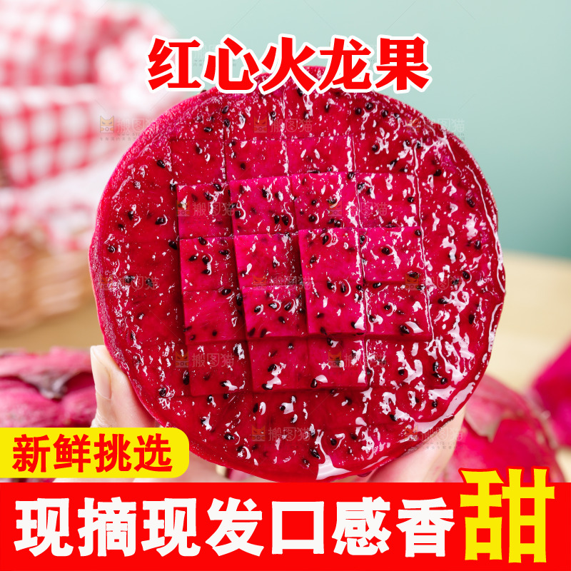 手里拿着红心火龙果