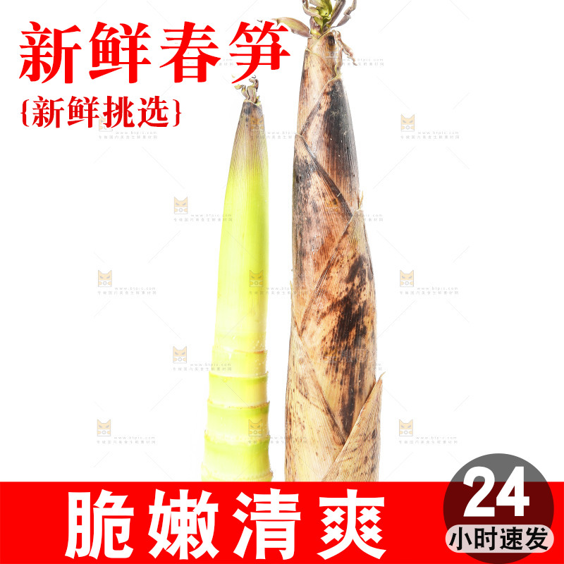 白底上摆放着春雷笋
