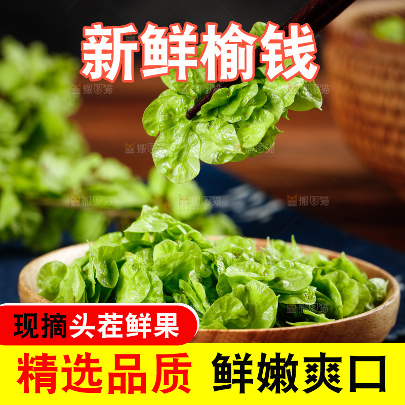 筷子上夹着榆钱