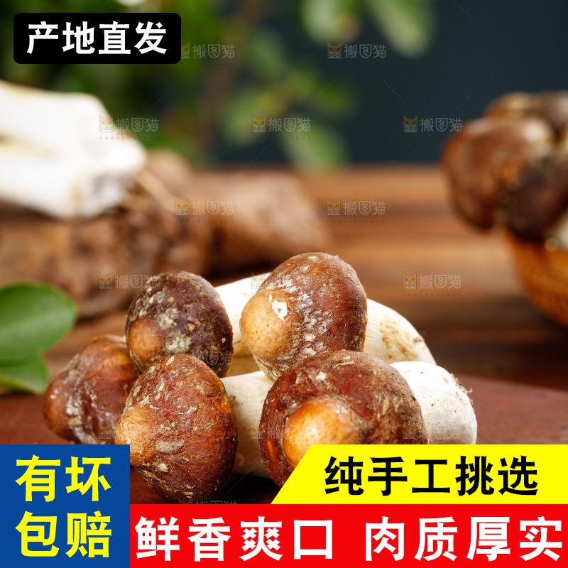 木板上放着松茸菇