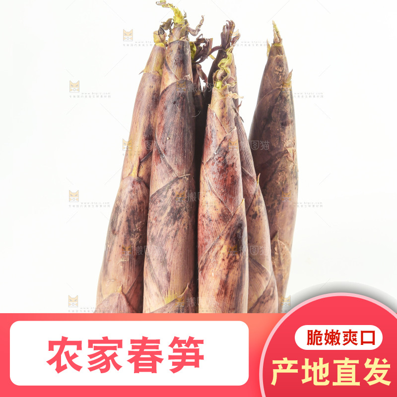 白底上放着一堆春笋