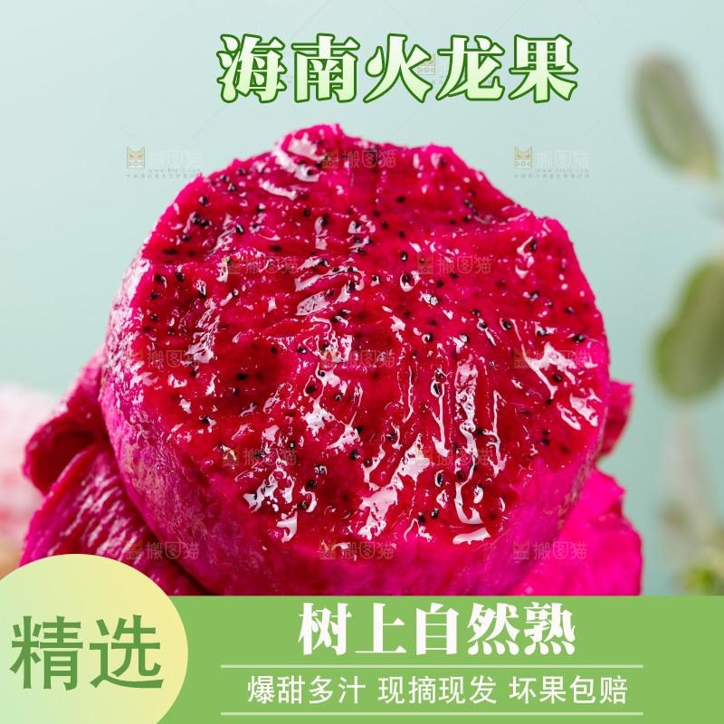 手里拿着红心火龙果