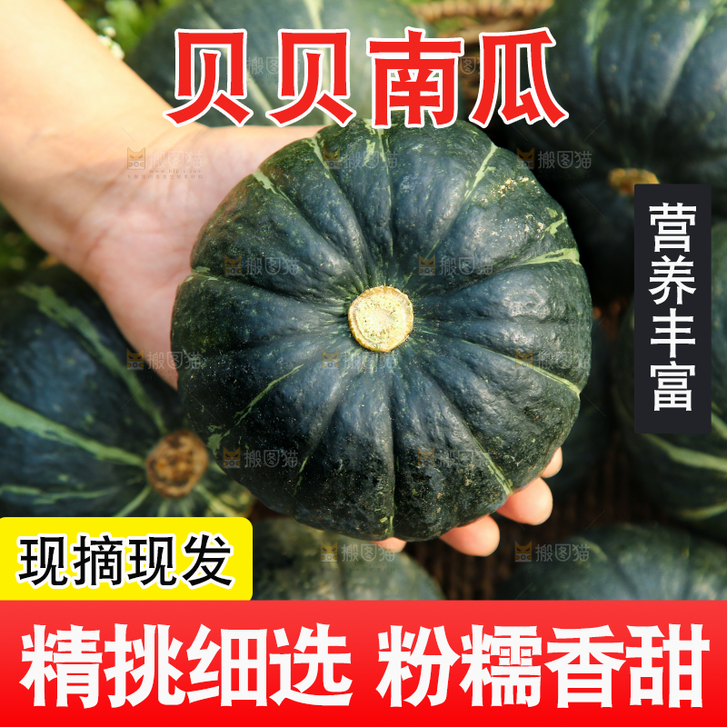 手里拿着板栗南瓜
