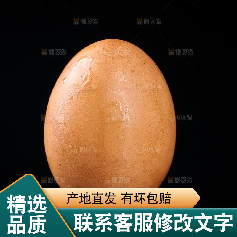 黑底上的活珠子