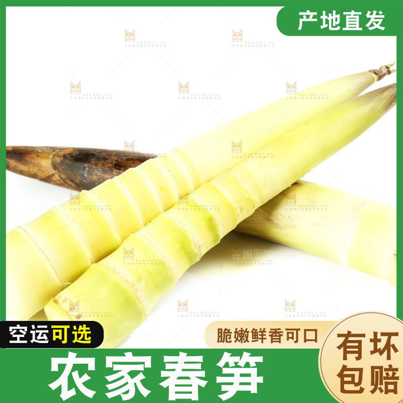 白底上摆放着春雷笋