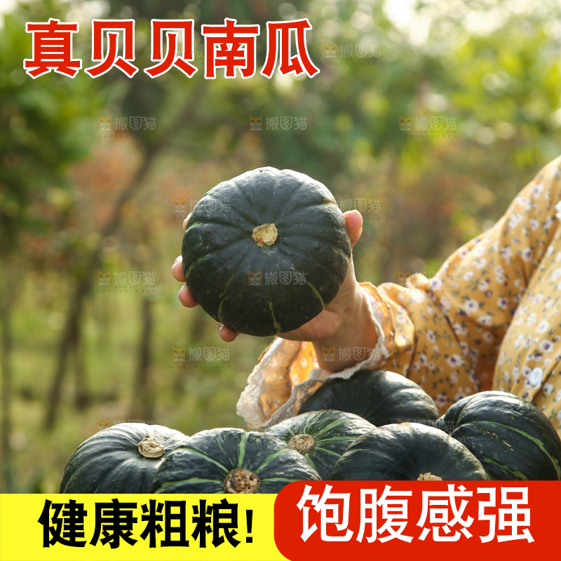 手里端着一篮贝贝南瓜