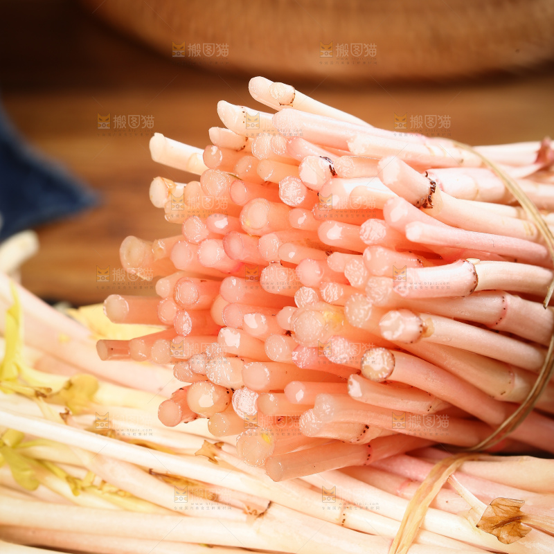 一堆鱼腥草嫩芽