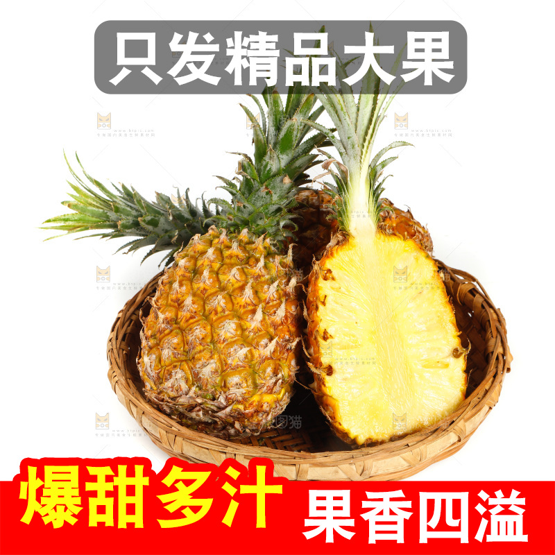一篮徐闻菠萝