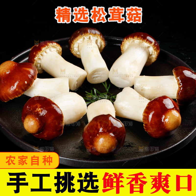 黑底上放着一盘赤松茸