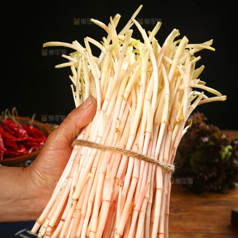 手里拿着鱼腥草嫩芽