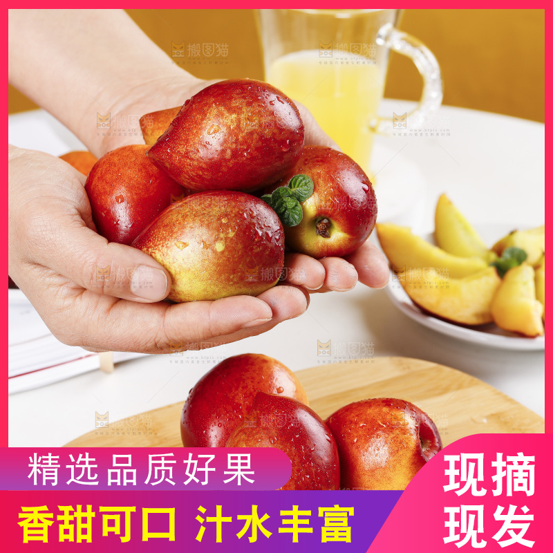 手里捧着澳洲桃驳李