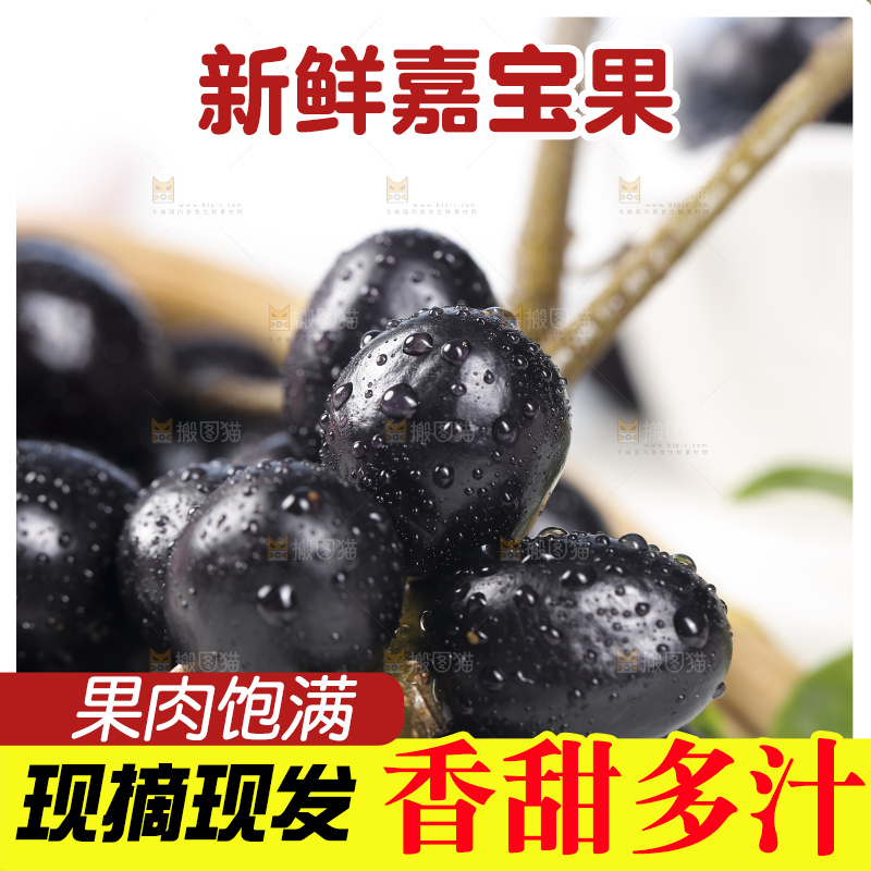 新鲜的嘉宝果树葡萄