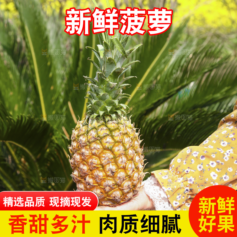 手里拿着菠萝