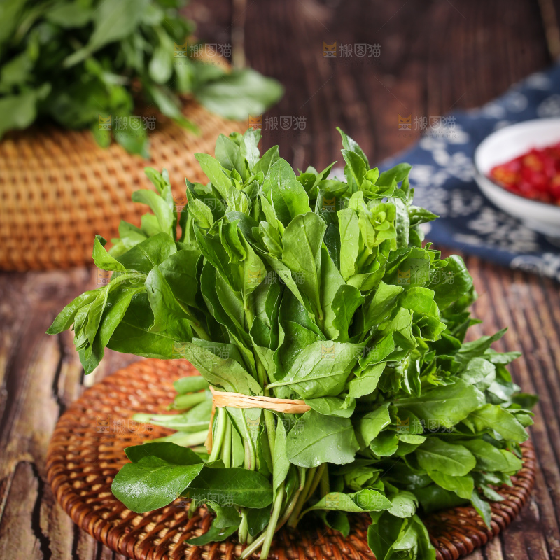 一堆新鲜枸杞菜