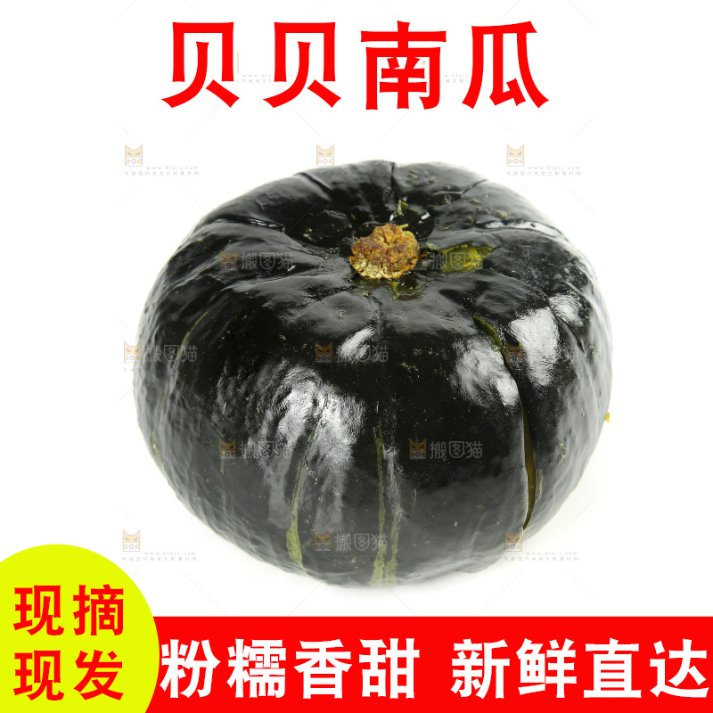 白底上的贝贝小南瓜