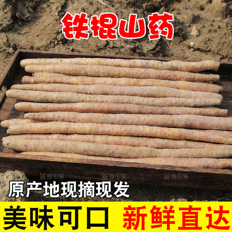 一盘铁棍山药
