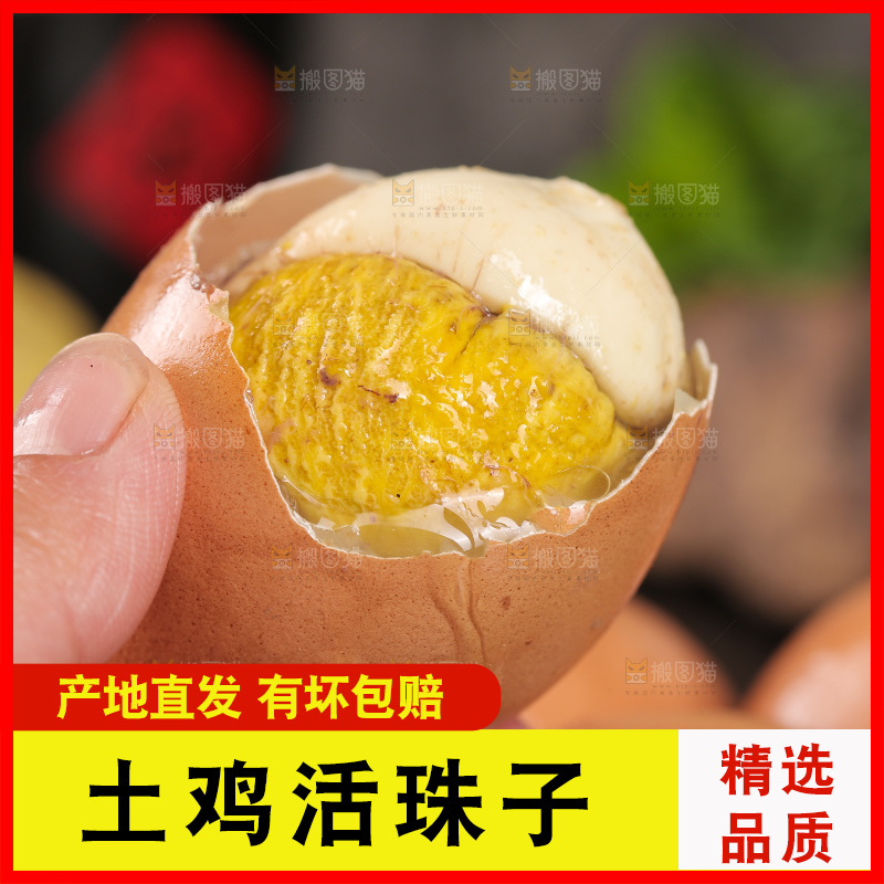 手里拿着凤凰蛋