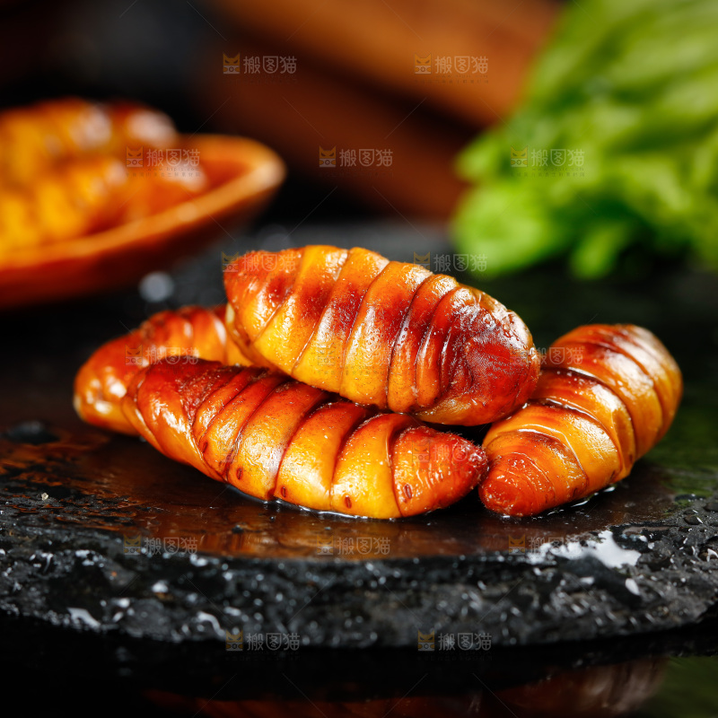 黑底上的蚕蛹