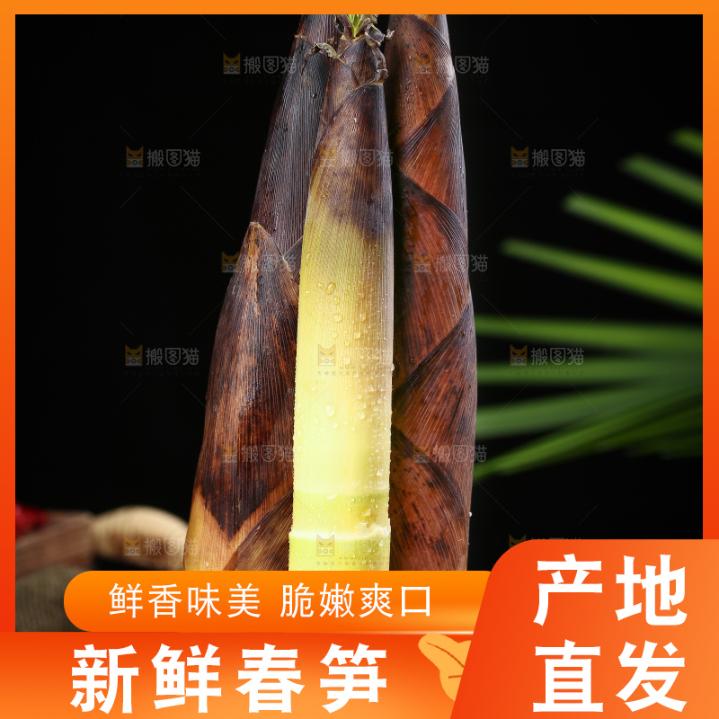 木底上的雷竹笋