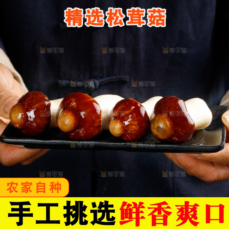 手里端着一盘松茸