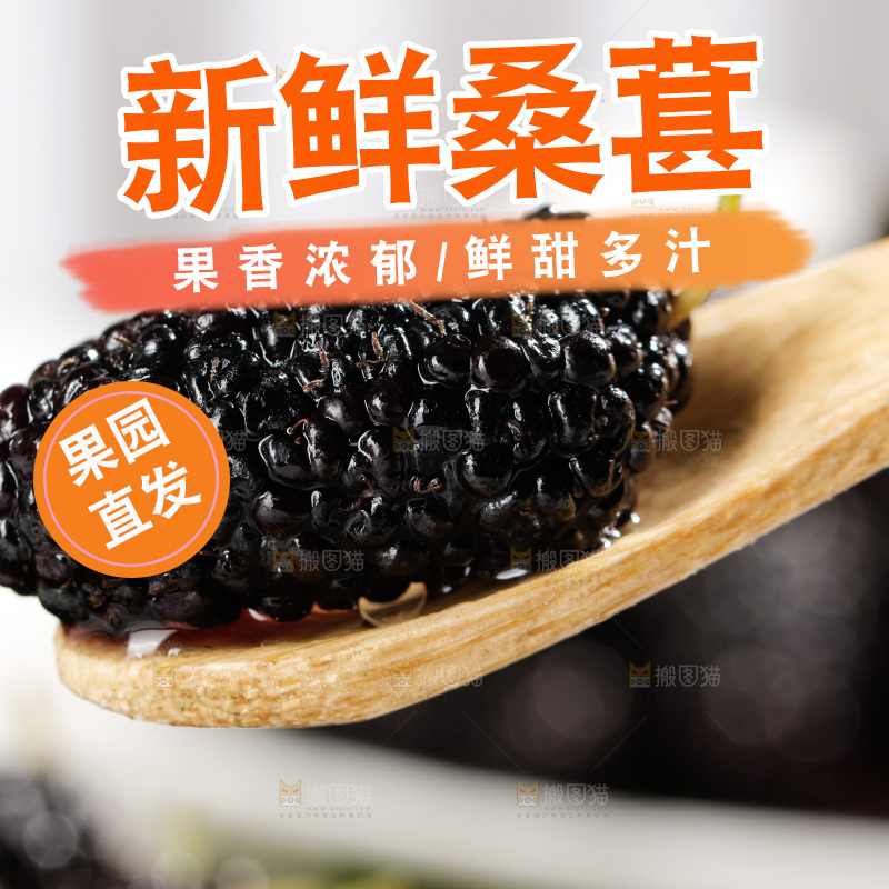 勺子上舀着黑桑葚