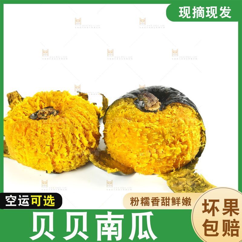 白底上的贝贝小南瓜