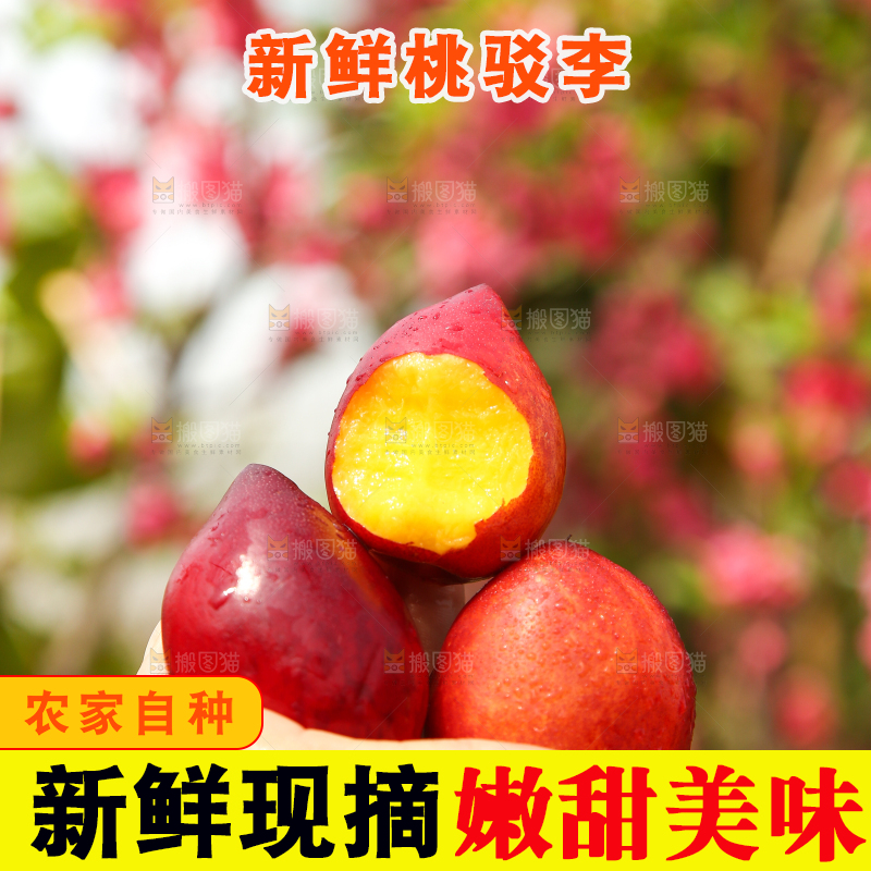 手里捧着新鲜桃驳李