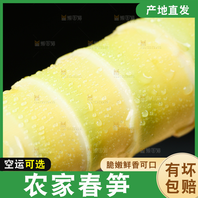 剥过皮的春笋