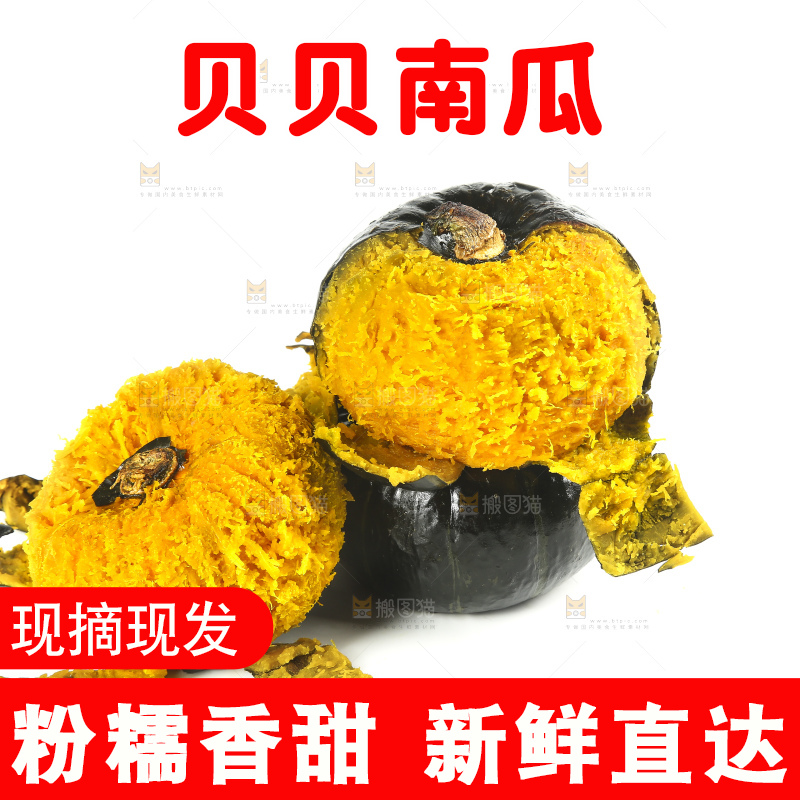 白底上的贝贝小南瓜