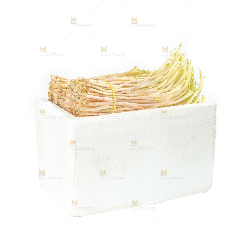 一箱新鲜鱼腥草嫩芽