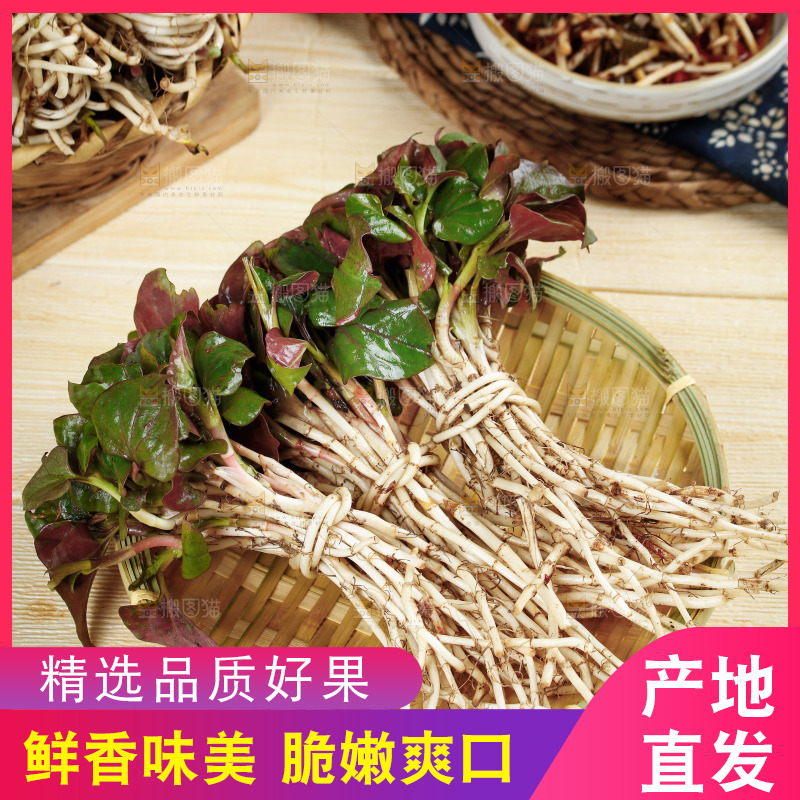 一篮新鲜鱼腥草