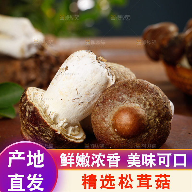 木板上放着松茸菇