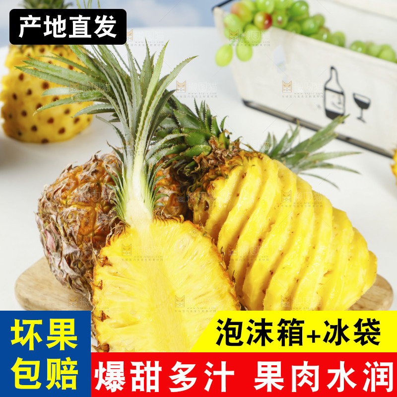 木底上的广东徐闻菠萝